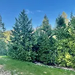 Honeybee Hive Hot Tub Bbq 8 Minutes To Bass Lake Sleeps Up To 6