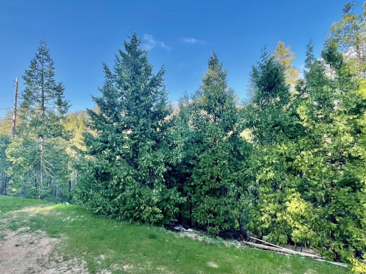 Appartamento Honeybee Hive Hot Tub Bbq 8 Minutes To Bass Sleeps Up To 6 North Fork
